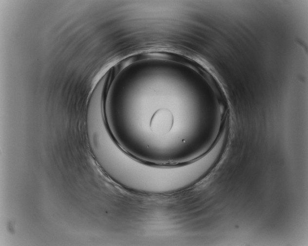 X0000099541097200805161422