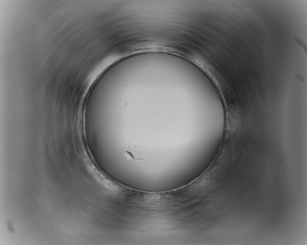 X0000099541098200805161422