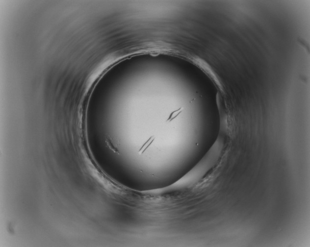 X0000099541099200805161422
