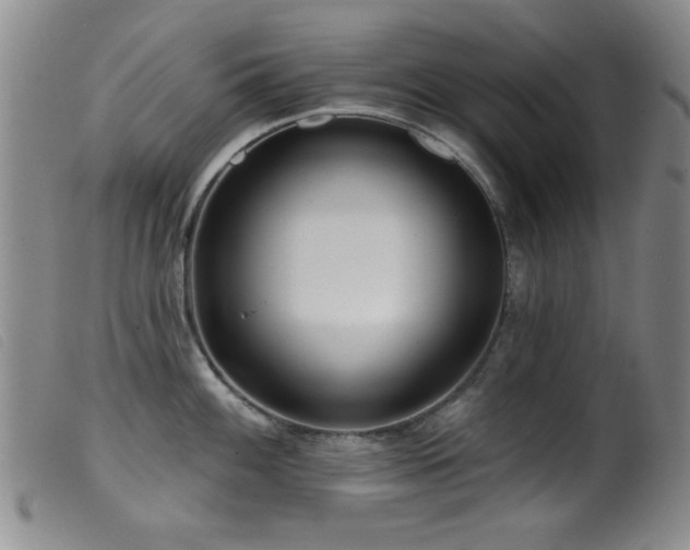 X0000099541100200805161422