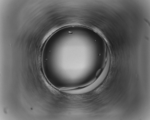 X0000099541101200805161422