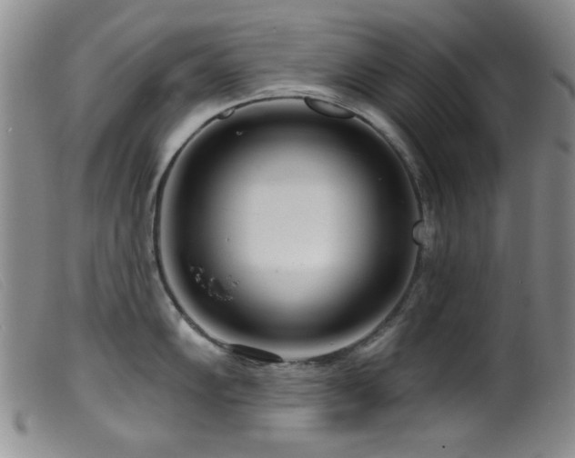 X0000099541102200805161422