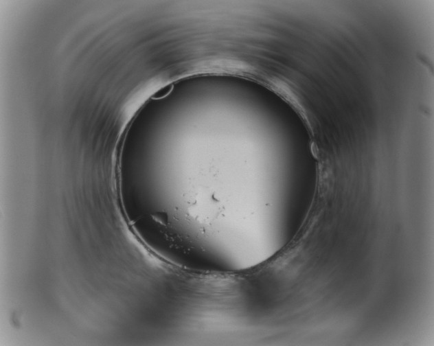X0000099541103200805161422