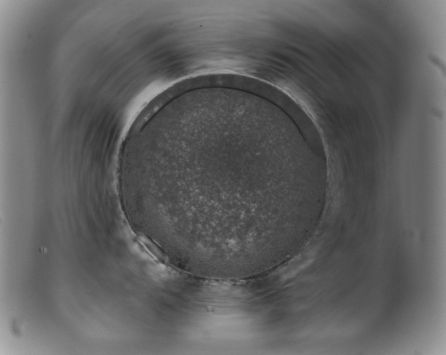 X0000099541104200805161422
