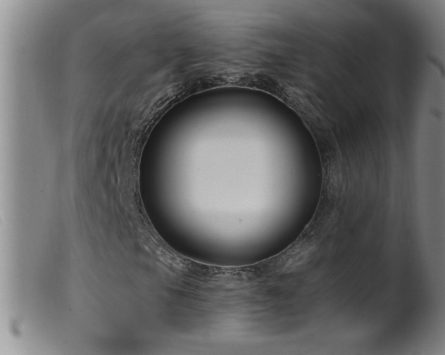 X0000099541105200805161421