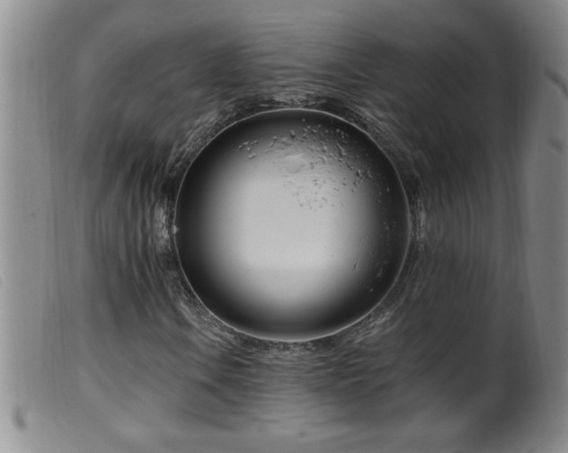 X0000099541106200805161421