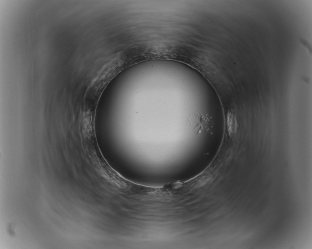 X0000099541107200805161421