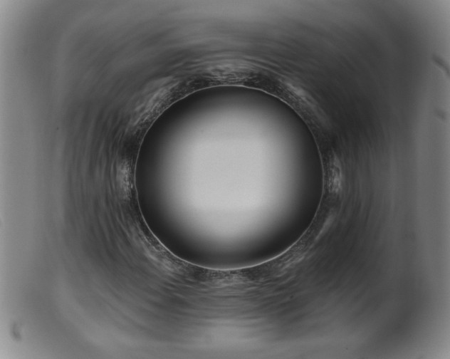 X0000099541108200805161421