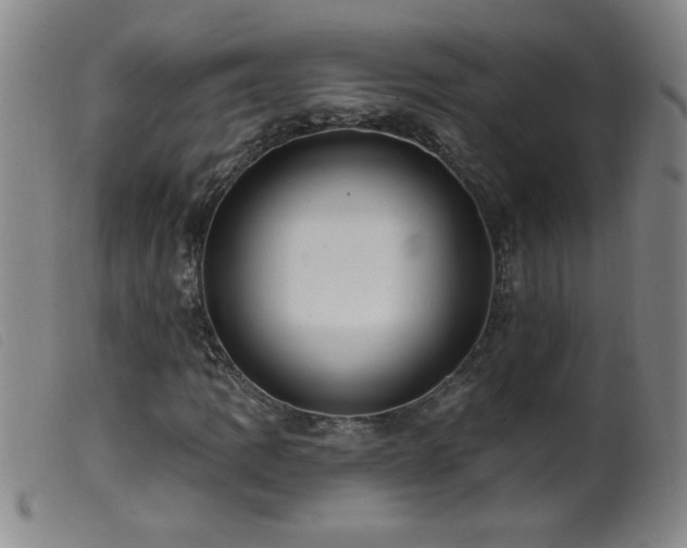 X0000099541109200805161421