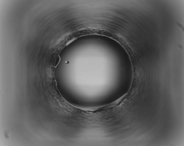 X0000099541110200805161421