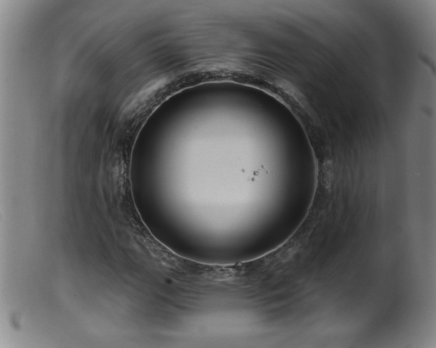 X0000099541111200805161421
