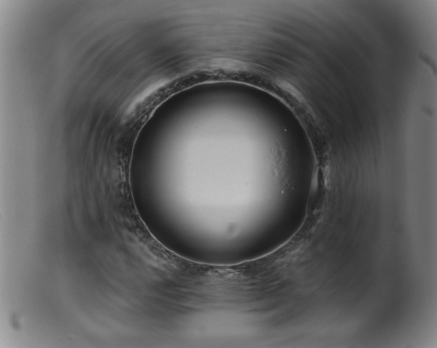 X0000099541112200805161421