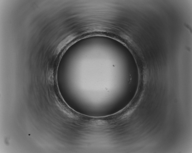 X0000099541113200805161421