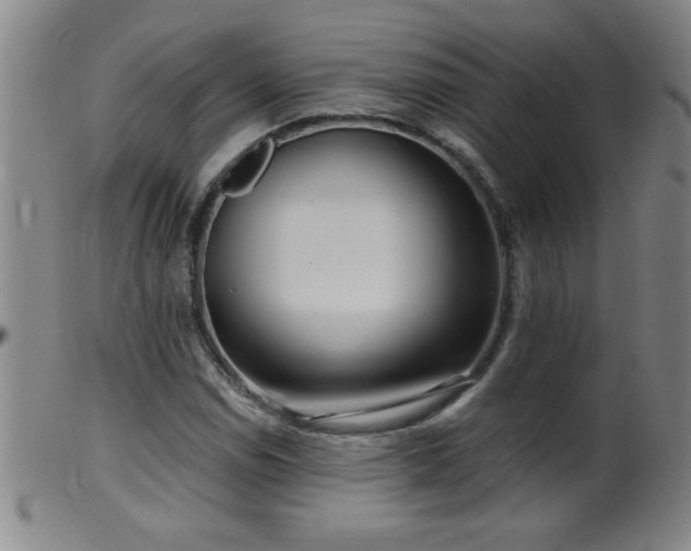 X0000099541114200805161421
