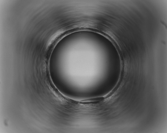 X0000099541115200805161421