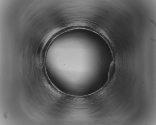 X0000099541116200805161421