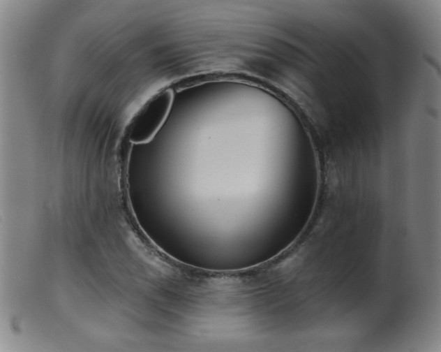 X0000099541118200805161421