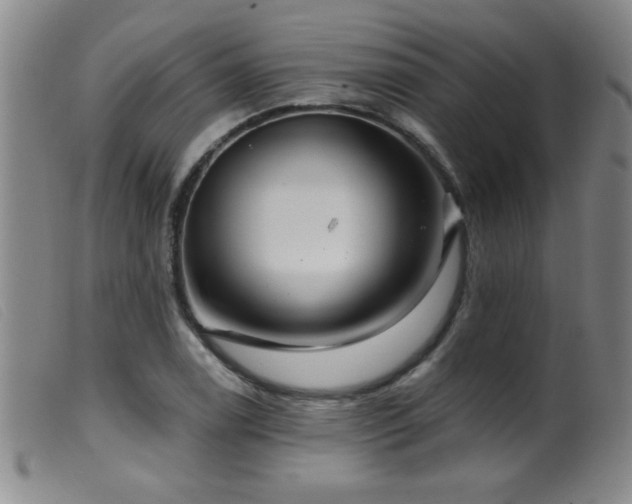 X0000099541122200805161421