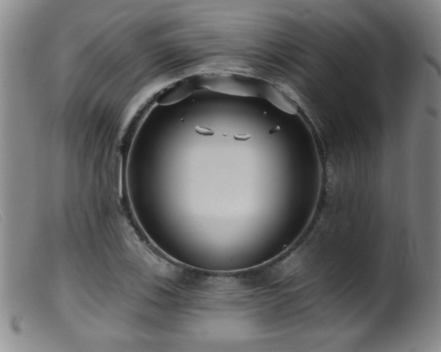 X0000099541123200805161421