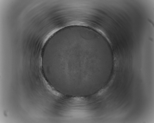 X0000099541125200805161421