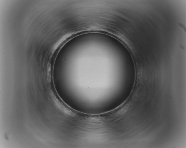 X0000099541126200805161421