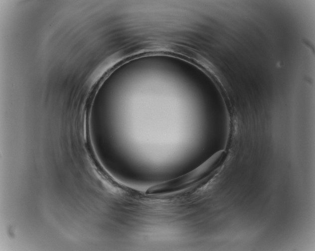 X0000099541127200805161421