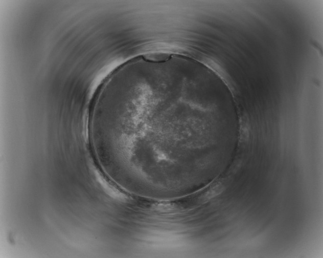X0000099541128200805161421