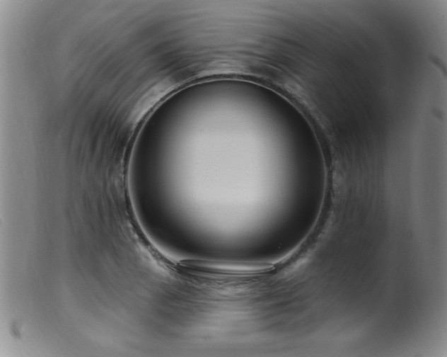X0000099541129200805161421