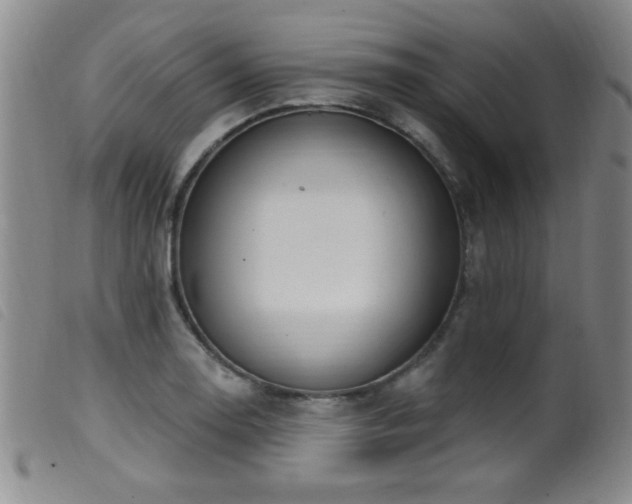 X0000099541130200805161421