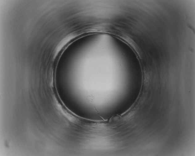 X0000099541131200805161421