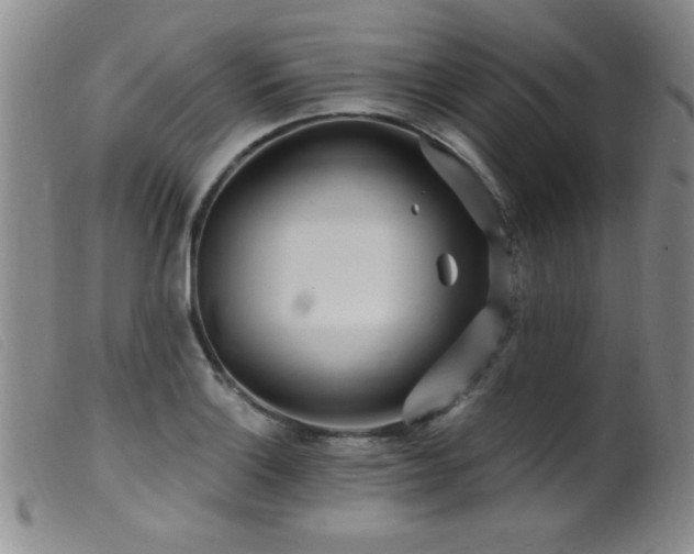 X0000099541132200805161421