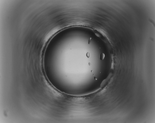 X0000099541135200805161422