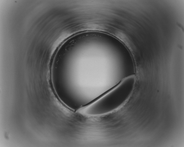 X0000099541136200805161422