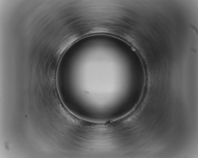 X0000099541137200805161422