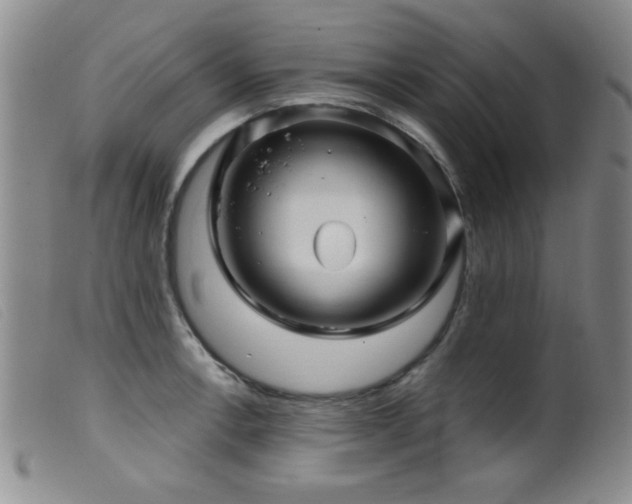 X0000099541138200805161422