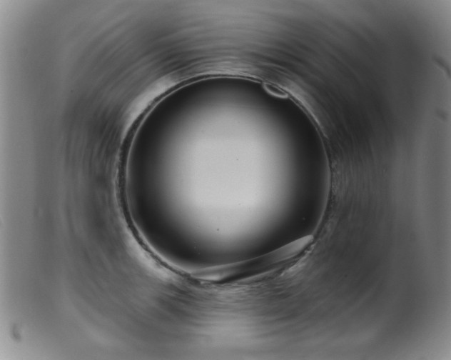 X0000099541139200805161422