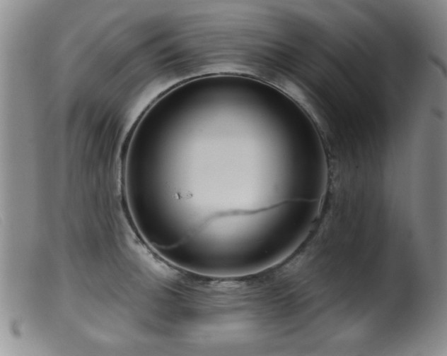X0000099541140200805161422