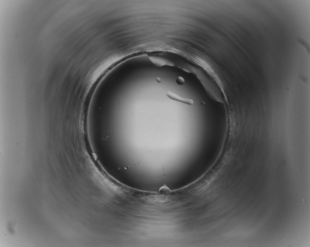 X0000099541141200805161422