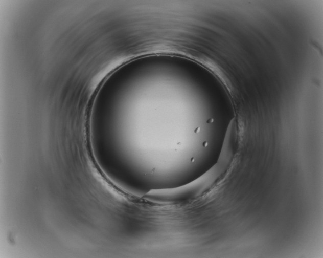 X0000099541142200805161422