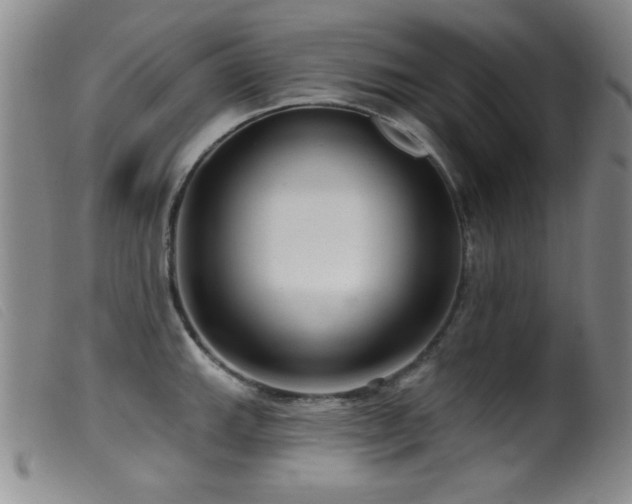 X0000099541143200805161422