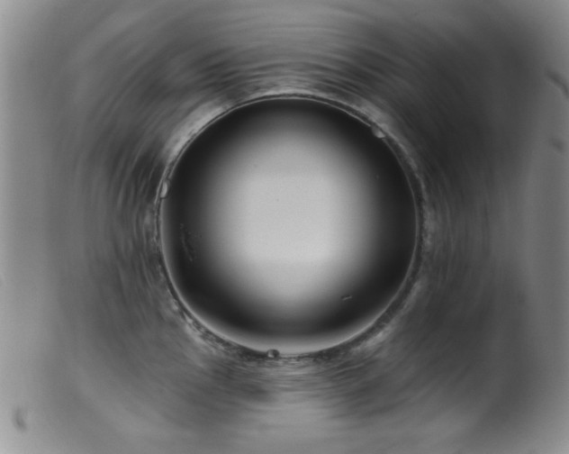 X0000099541145200805161422