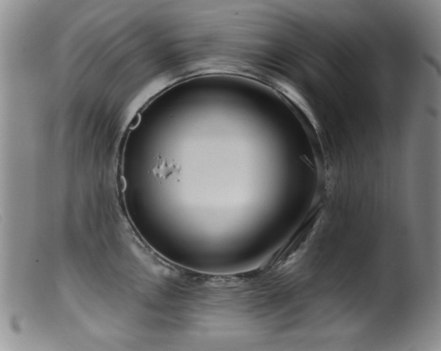 X0000099541146200805161422