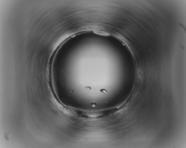 X0000099541147200805161422