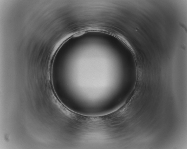 X0000099541148200805161422