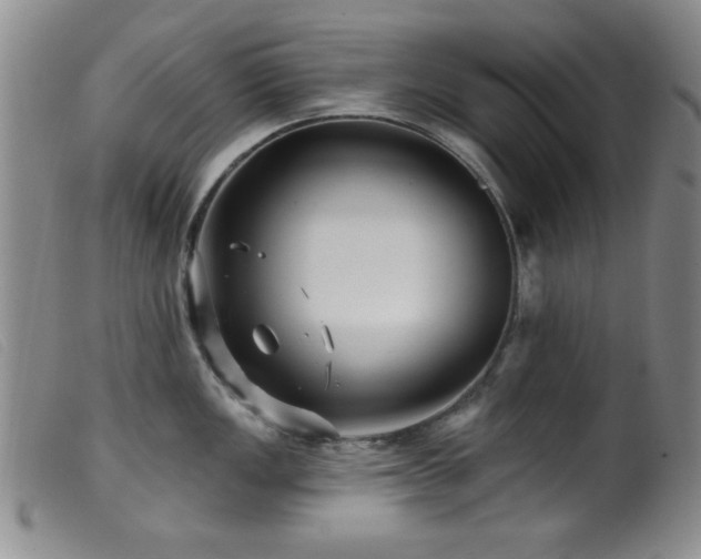 X0000099541149200805161422