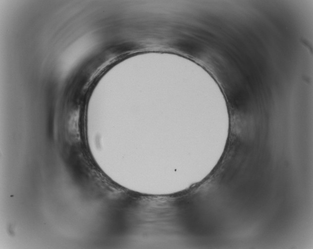 X0000099541150200805161422