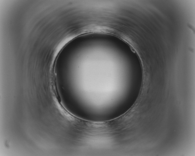 X0000099541152200805161422