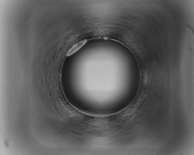 X0000099541153200805161421