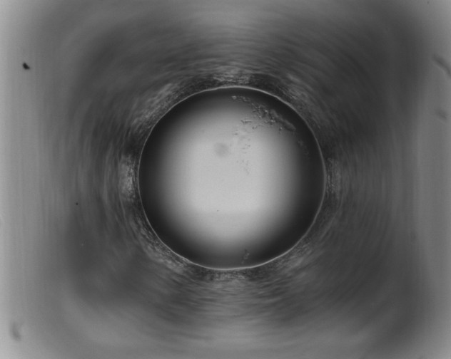 X0000099541154200805161421