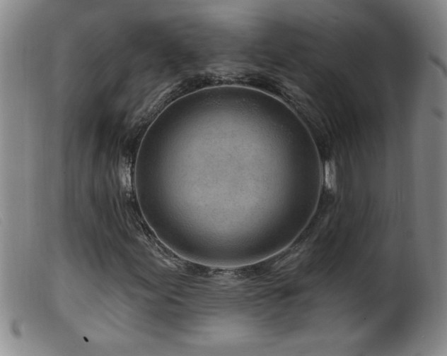 X0000099541155200805161421